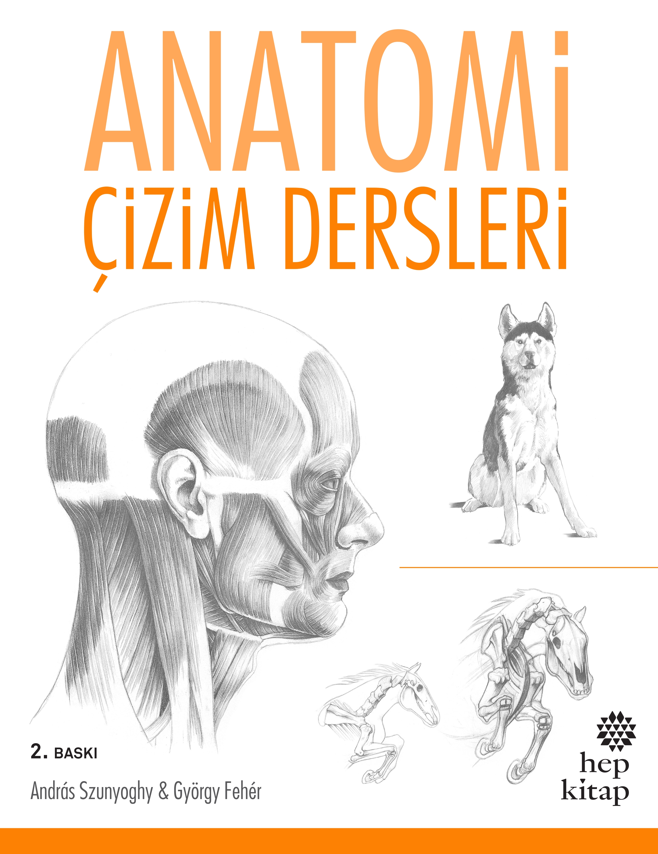 Anatomi, Çizim Dersleri