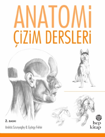 Anatomi, Çizim Dersleri